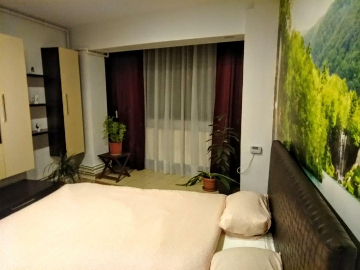 Cozy Downtown Oasis Lejlighed Bukarest Eksteriør billede