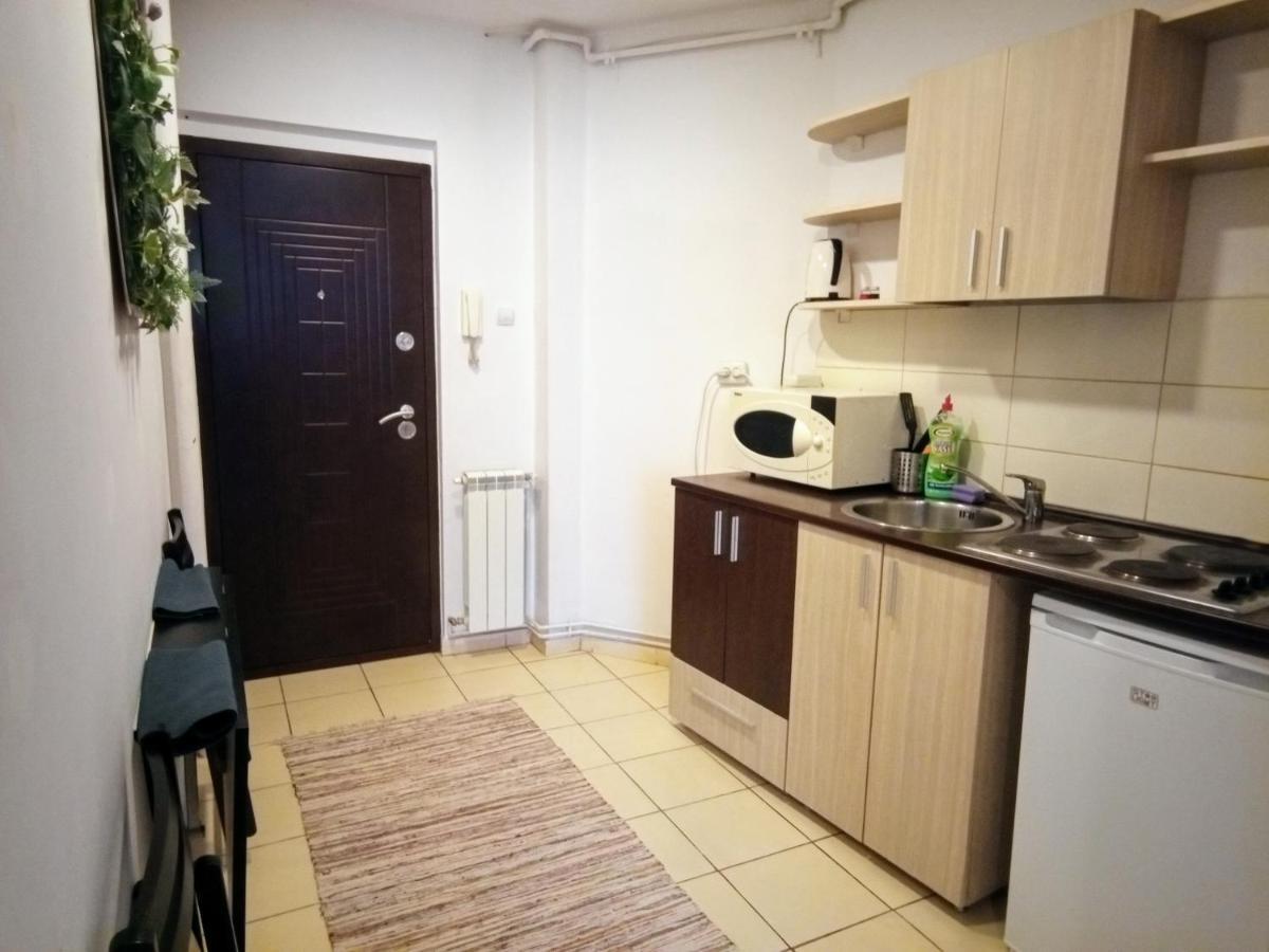 Cozy Downtown Oasis Lejlighed Bukarest Eksteriør billede
