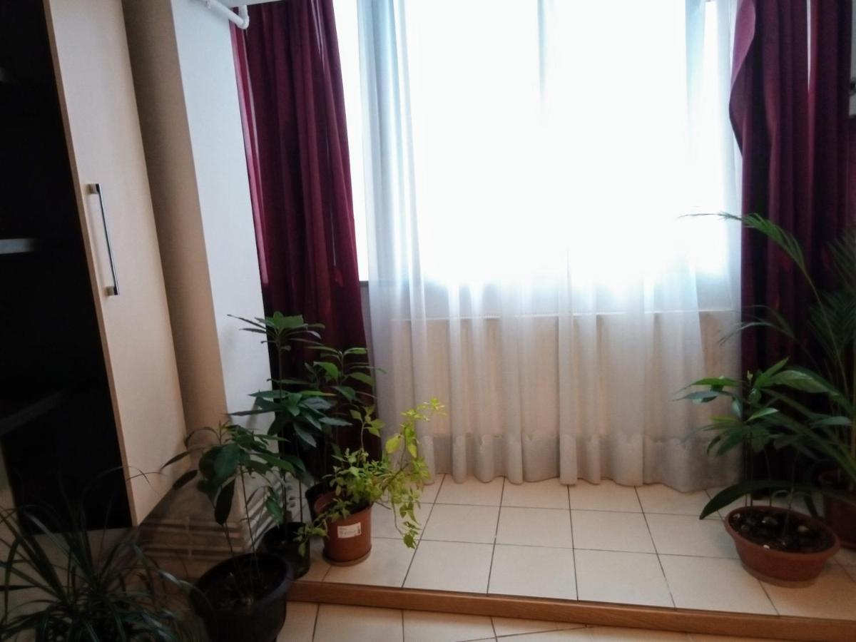 Cozy Downtown Oasis Lejlighed Bukarest Eksteriør billede