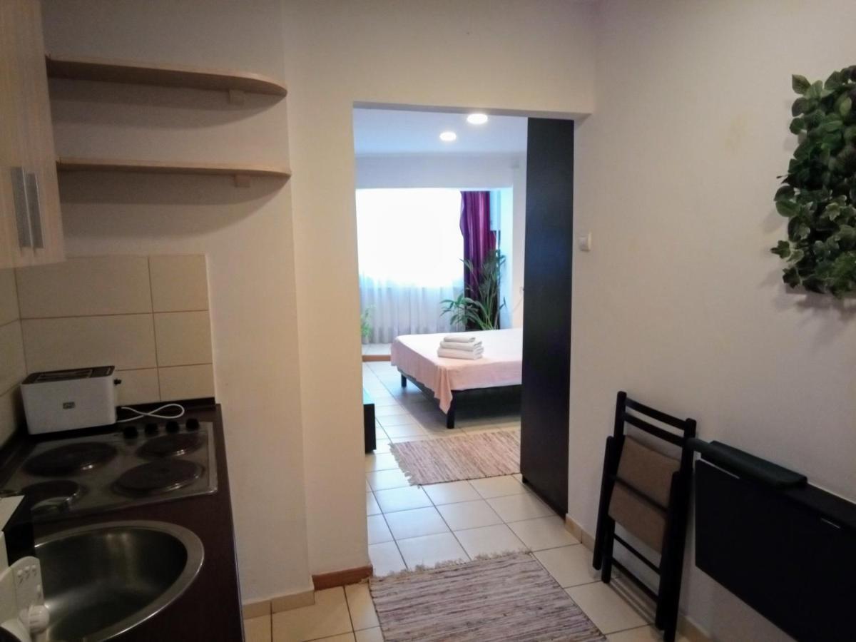 Cozy Downtown Oasis Lejlighed Bukarest Eksteriør billede
