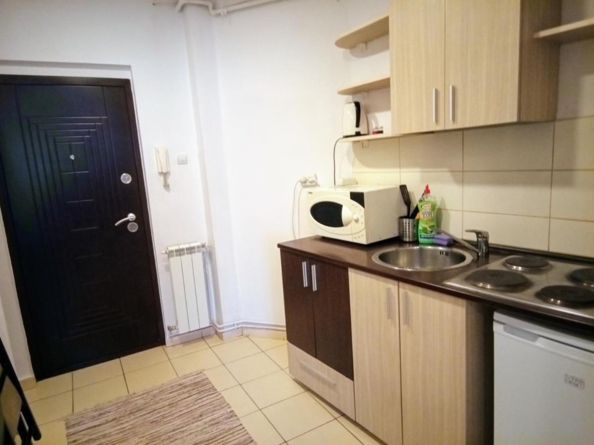 Cozy Downtown Oasis Lejlighed Bukarest Eksteriør billede